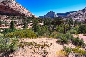 Landschaft im Osten des Parks