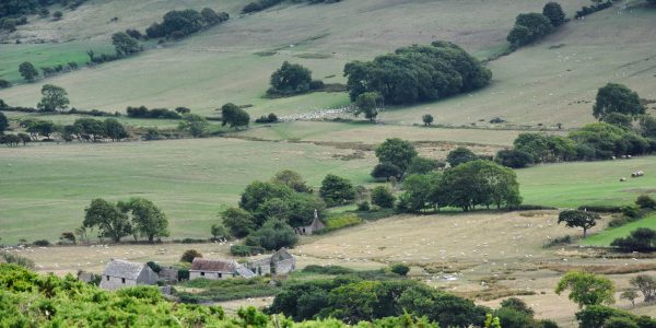 Landschaft in Dorset