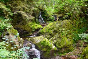 Lotenbachklamm