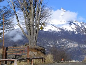 Nationalpark Los Glaciares