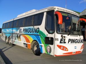 Pinguin-Bus