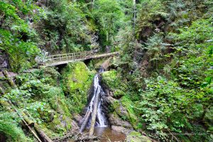 Viel Wasser in der Klamm