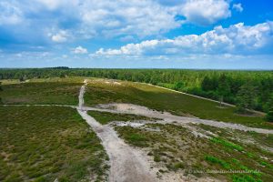 Ausblick vom Aussichtsturm