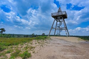 Aussichtsturm im Nationalpark