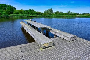 Die Enten sitzen entspannt am Picknicktisch