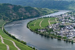 Die Mosel bei Piesport