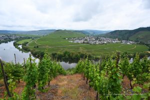 Moselschleife bei Trittenheim