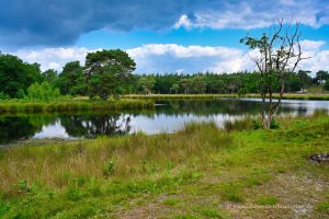 Nationalpark De Maasduinen