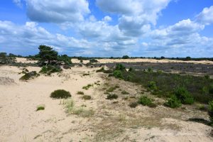 Nationalpark der Niederlande