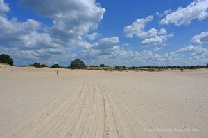 Nationalpark mit weiter Dünenlandschaft