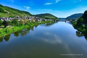 Neef an der Mosel