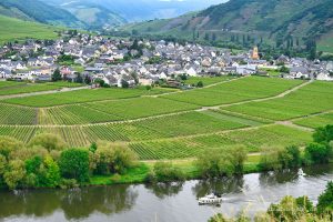 Trittenheim