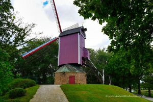 Windmühle De Nieuwe Papegaai