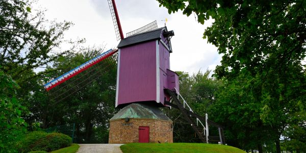 Windmühle De Nieuwe Papegaai