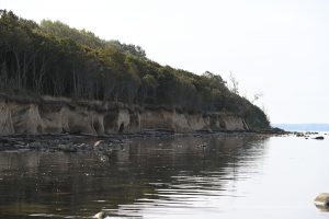 Steilküste auf der Insel Poel