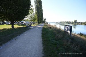 Rhein bei Breisach