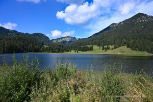 Landschaft am Spitzingsee