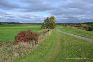 Deich an der Oste