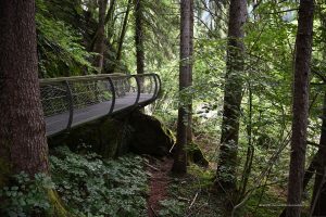 Wanderweg im Passeiertal