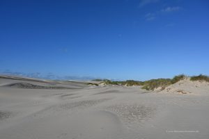Dünenlandschaft im Norden