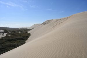 Düne Rubjerg Knude