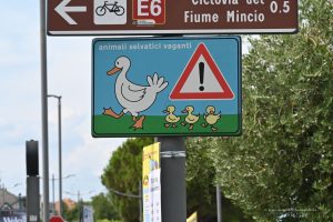 Achtung Enten am Gardasee