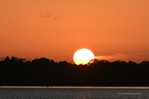 Sonnenuntergang über dem Roskilde Fjord
