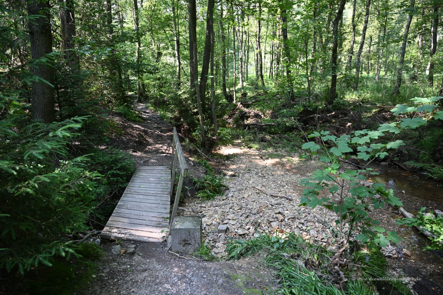 Brücke im Wald Die Weltenbummler
