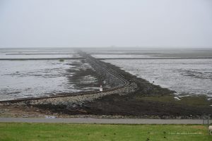 Das Gleis verläuft durch das Wattenmeer