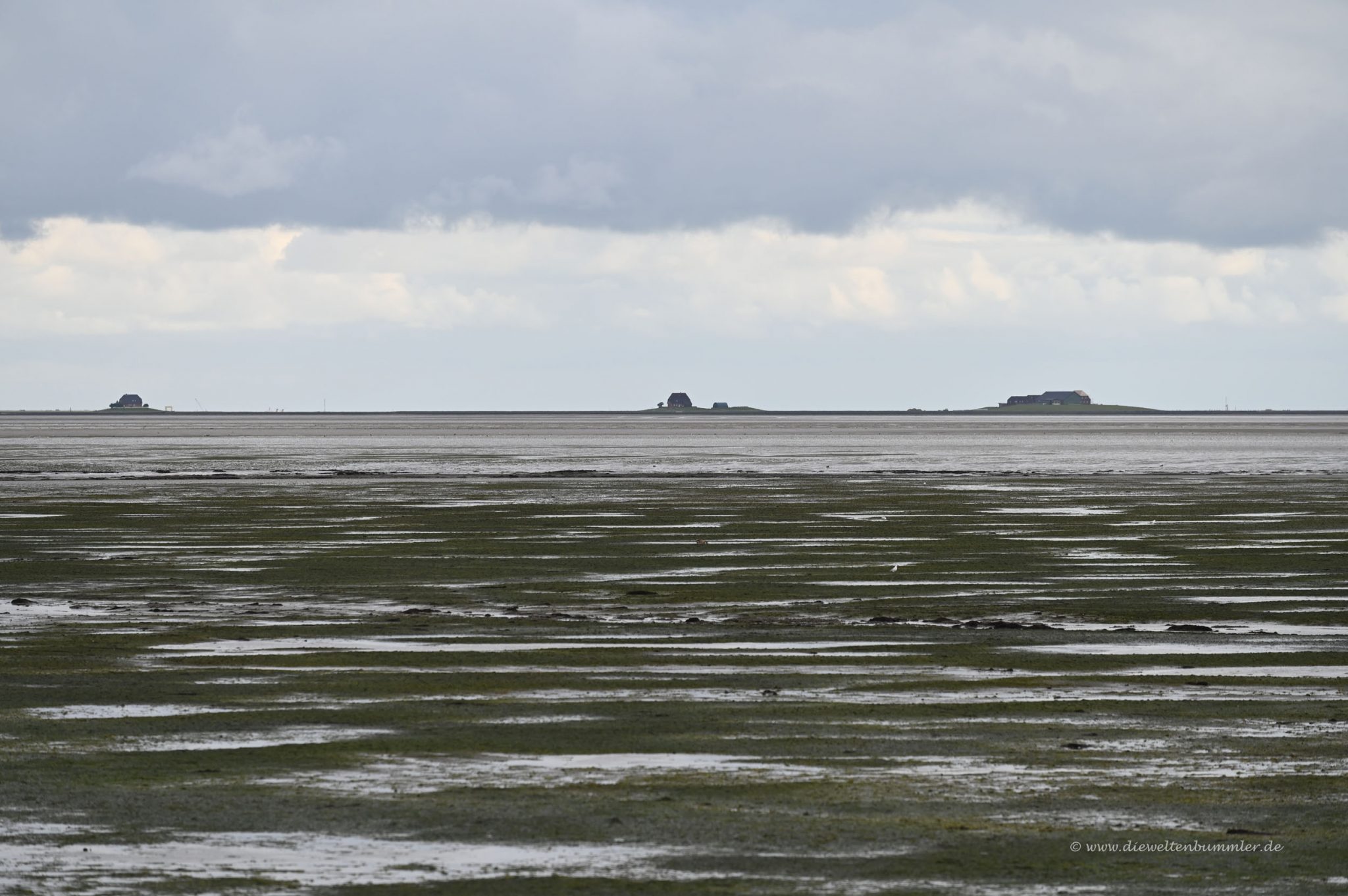 Halligen in der Nordsee - Die Weltenbummler