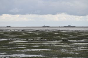 Halligen in der Nordsee