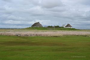 Hamburger Hallig