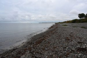 Kiesstrand auf Fehmarn