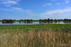 Landschaft an der Elbe