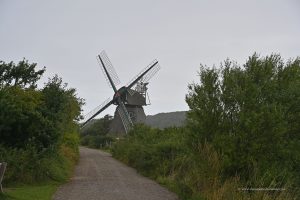 Mühle Charlotte im Naturschutzgebiet