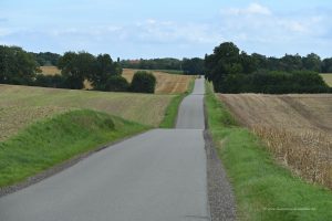 Straße auf Fehmarn