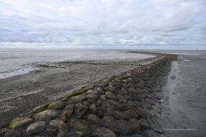 Wattenmeer