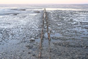 Fotografiere ich jedes Mal