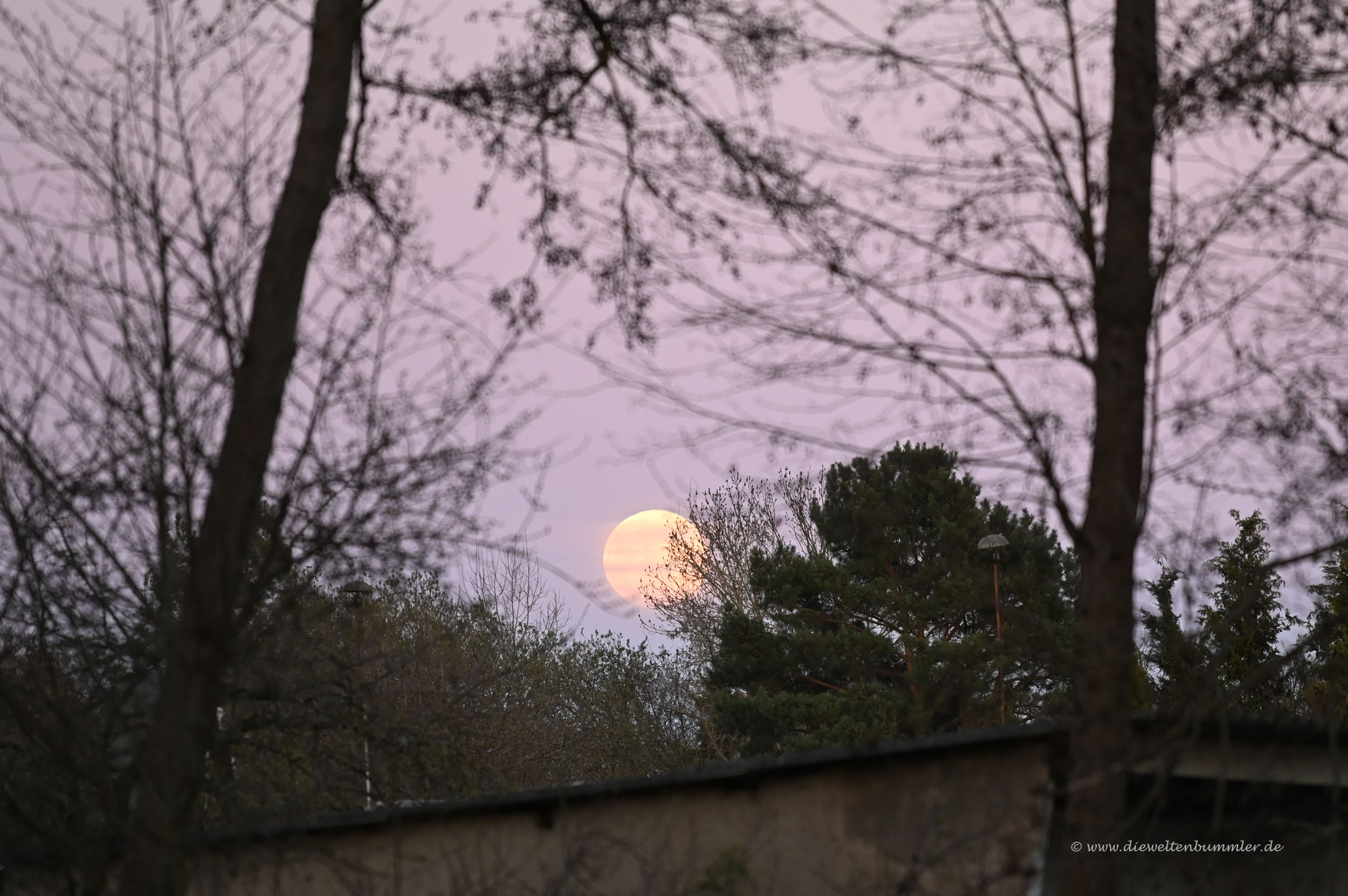 Mondaufgang über Wittstock