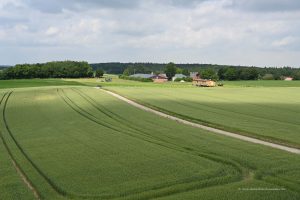 Ausblick am Dürsberg-Turm