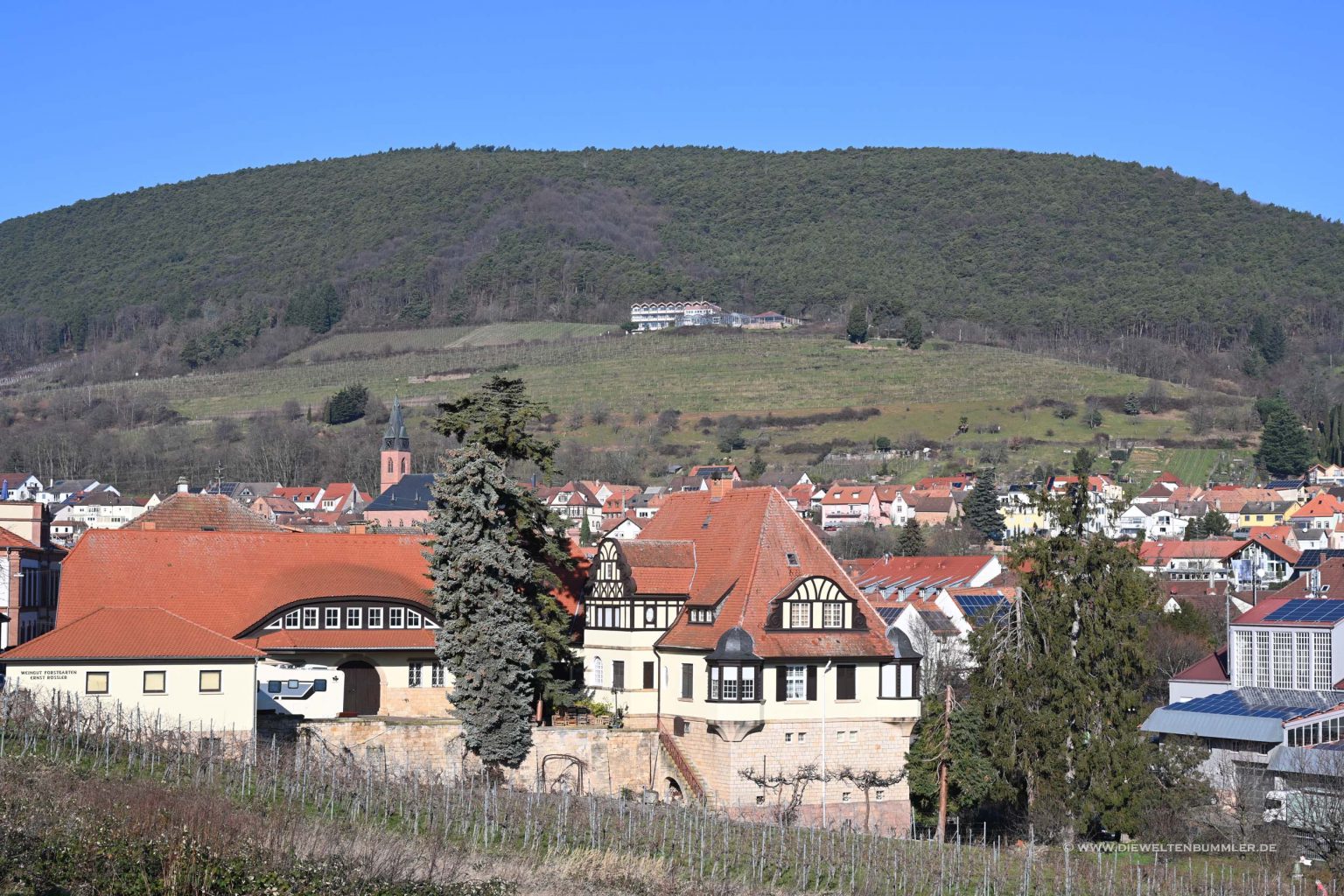 Kleine Ortschaft in der Pfalz
