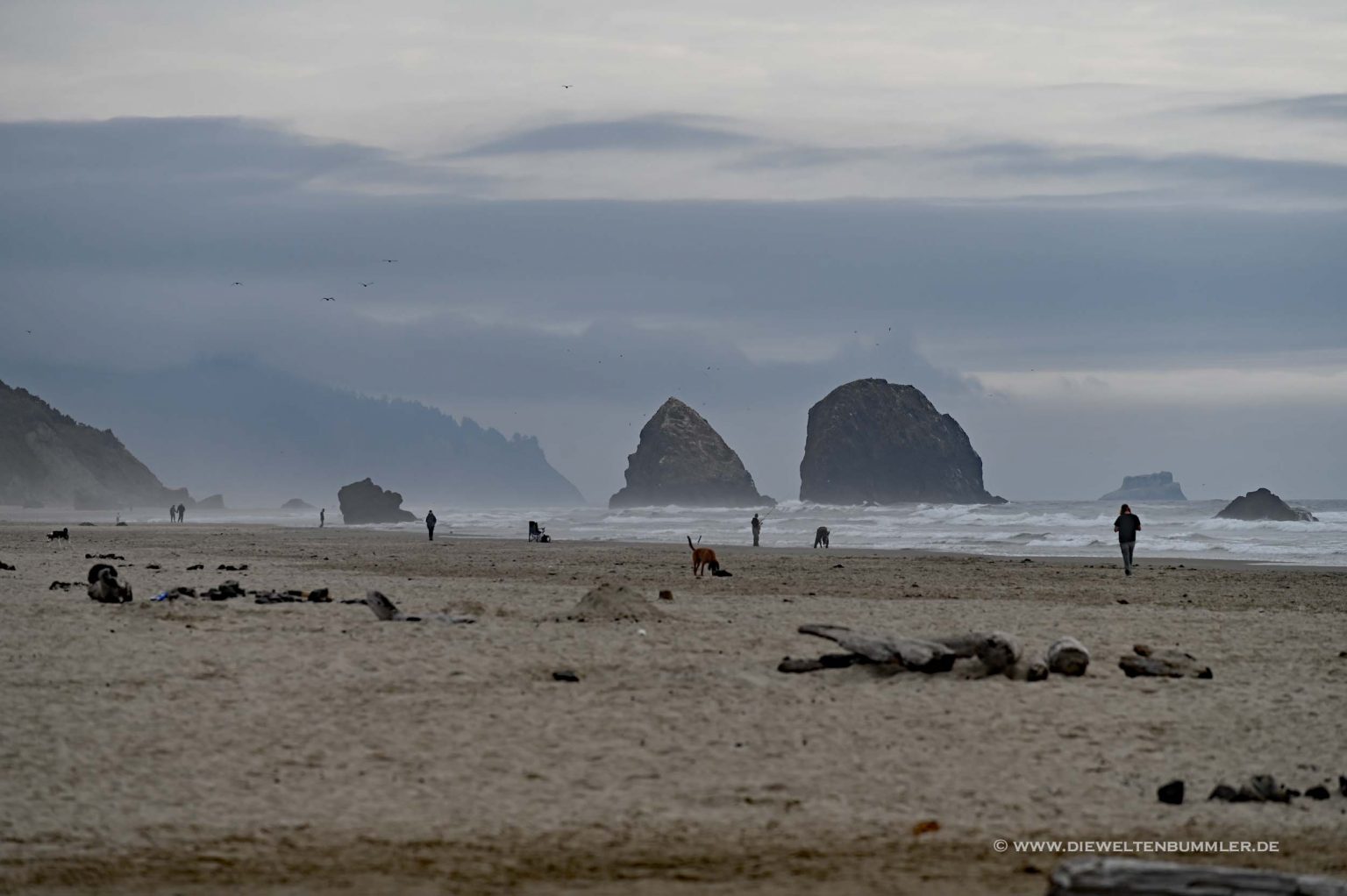 Durdle Door an der Jurassic Coast Die Weltenbummler
