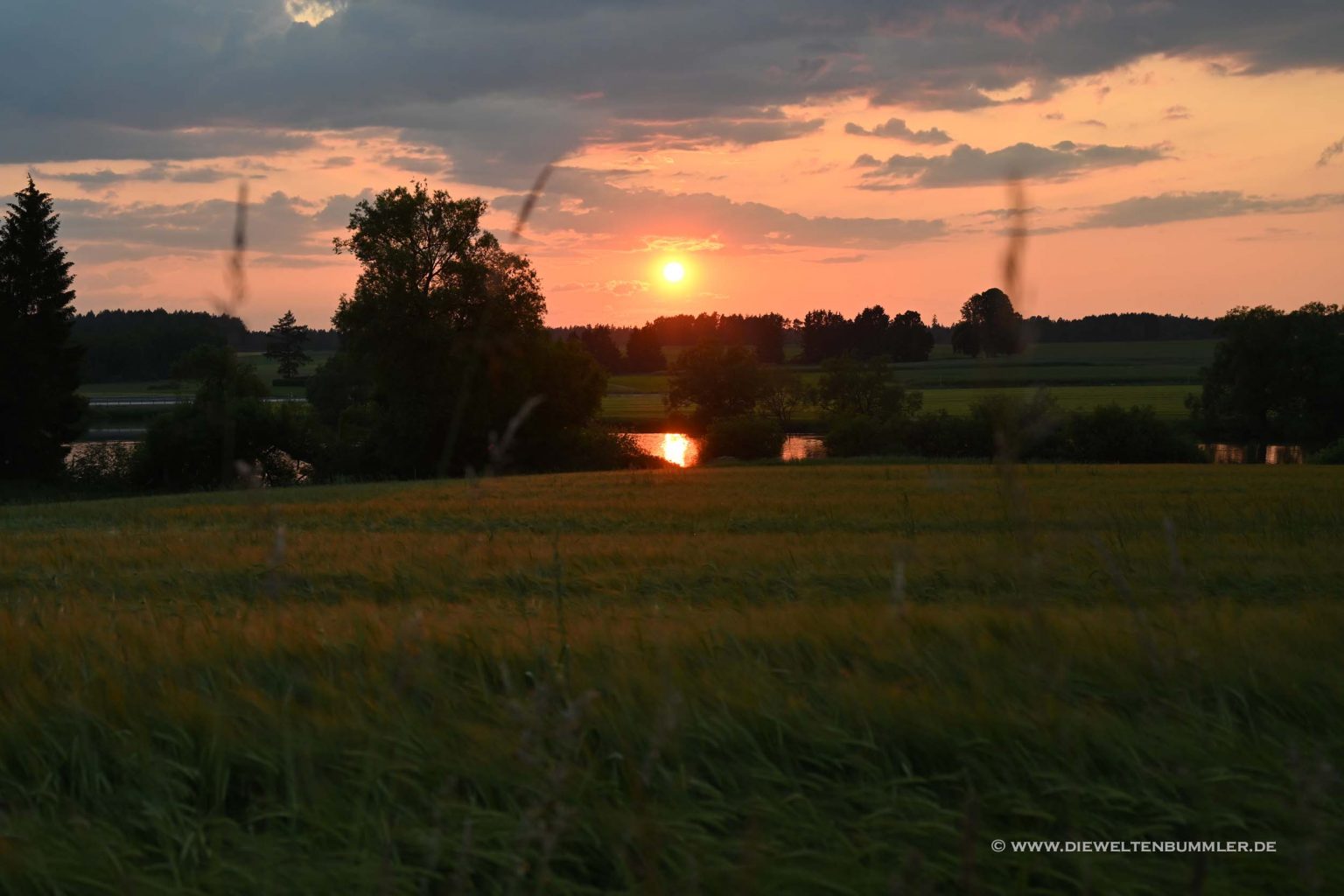 Sonnenuntergang in der Pfalz