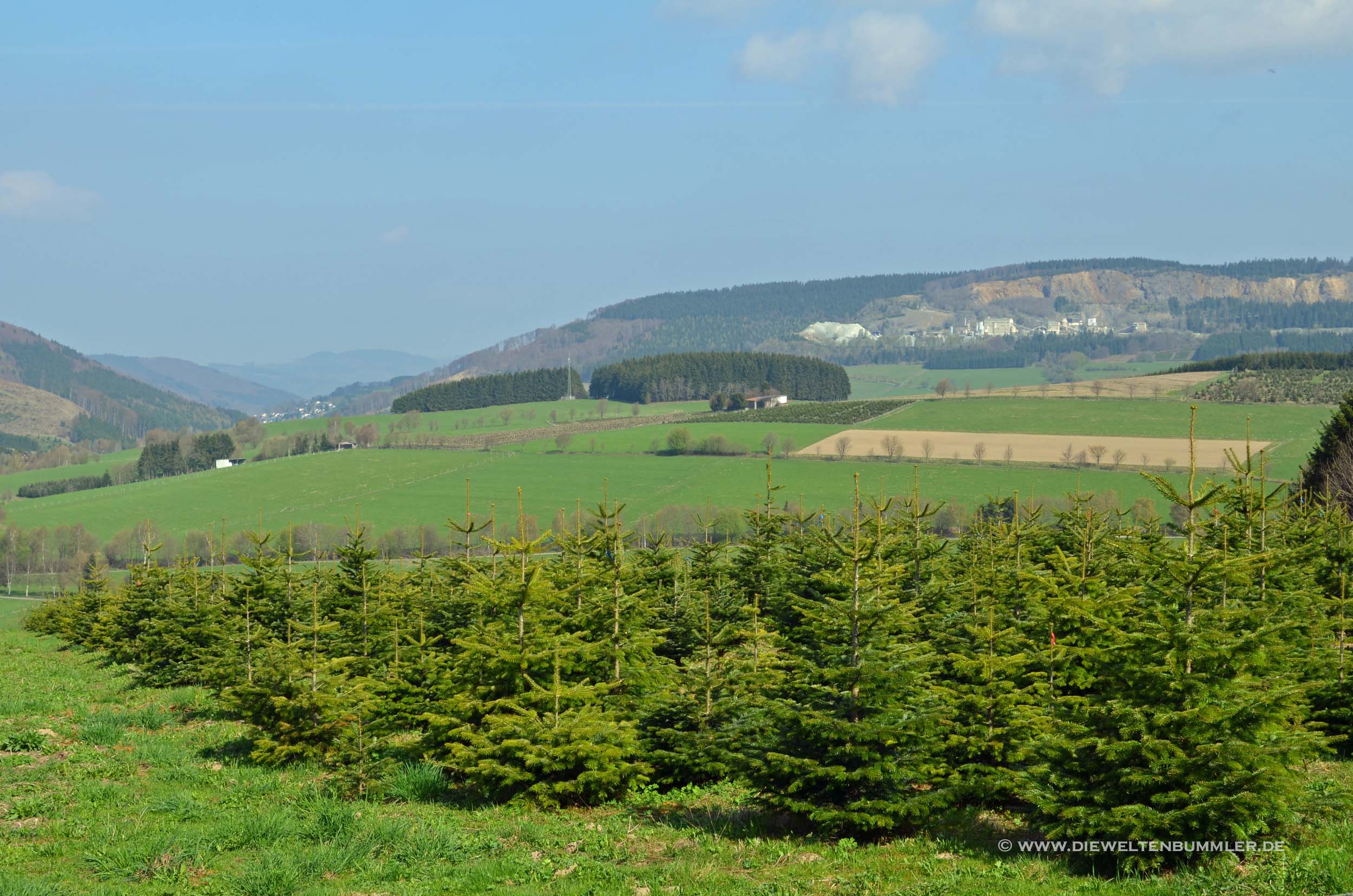 Ausblick Ausblick