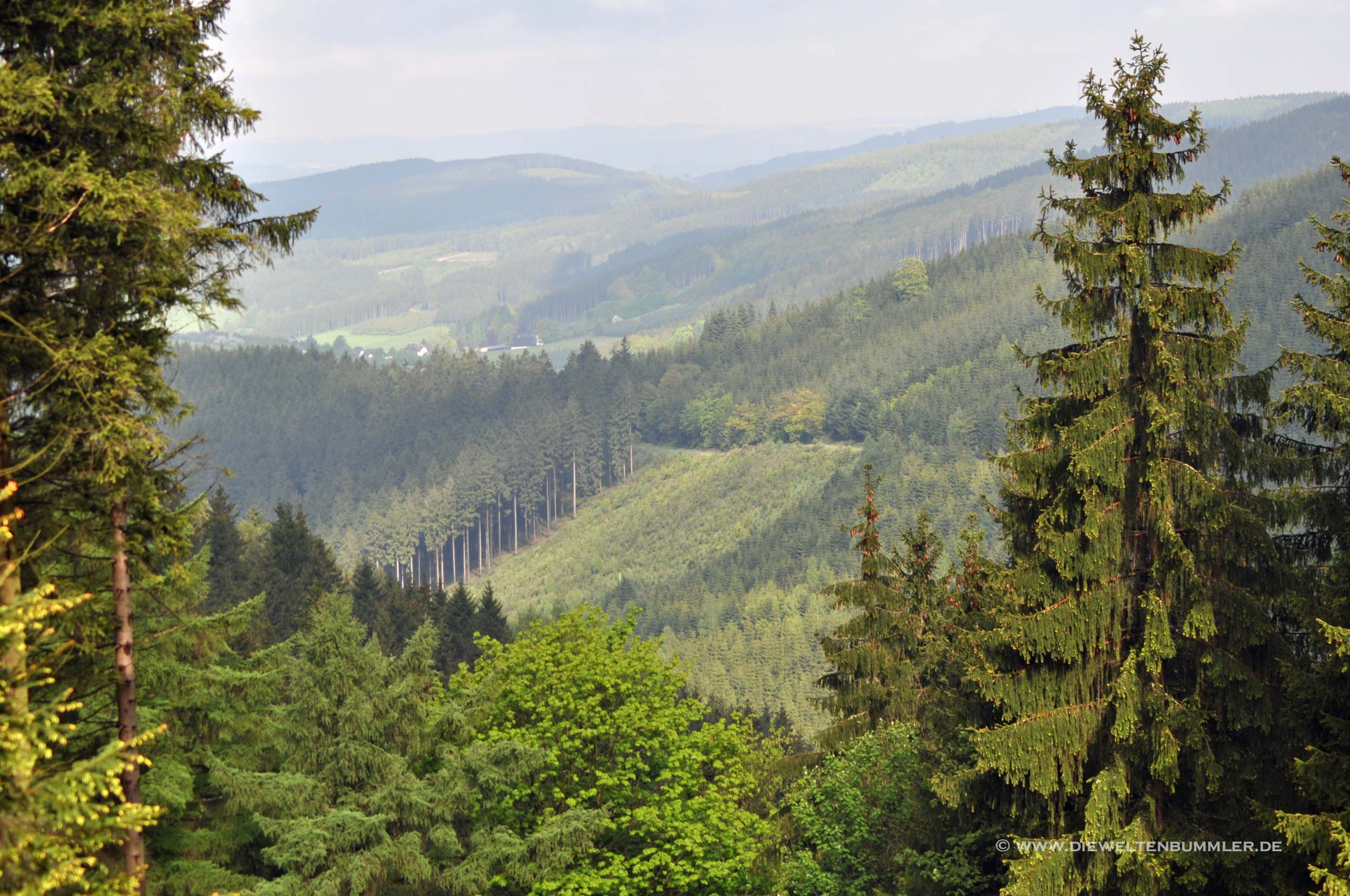 Ausblick im Sauerland