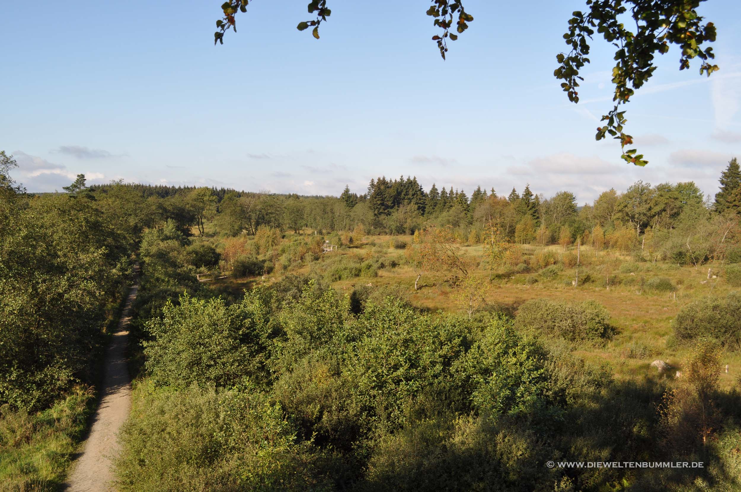 Blick vom Aussichtsturm