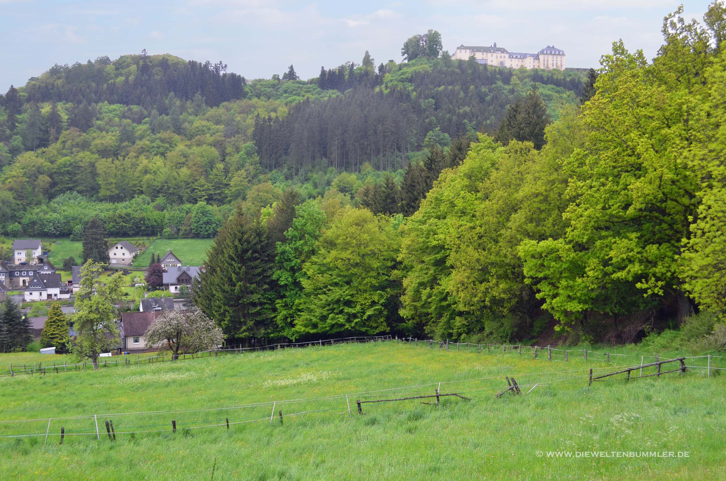 Grüne Landschaft