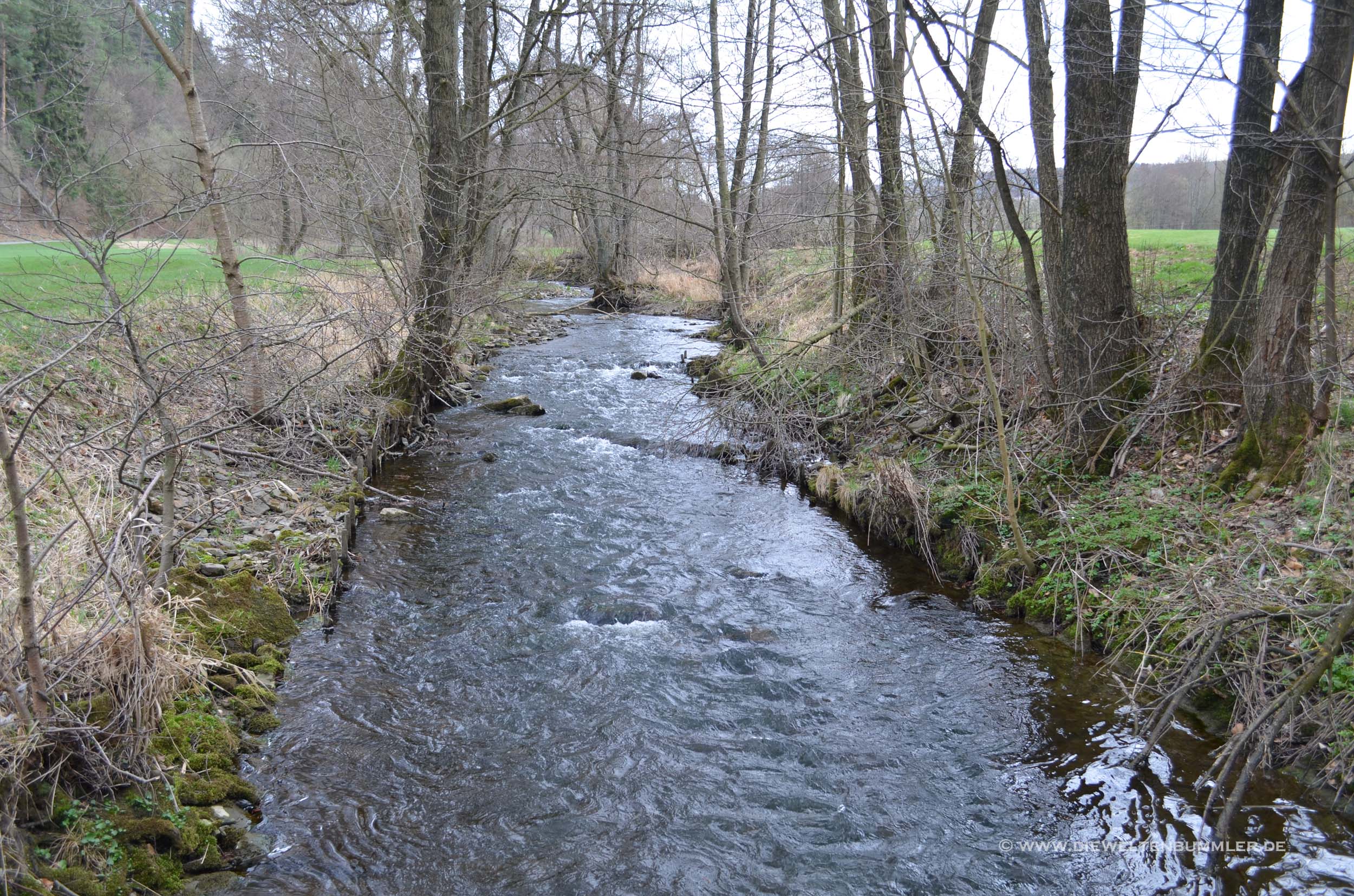 Kleiner Bachlauf