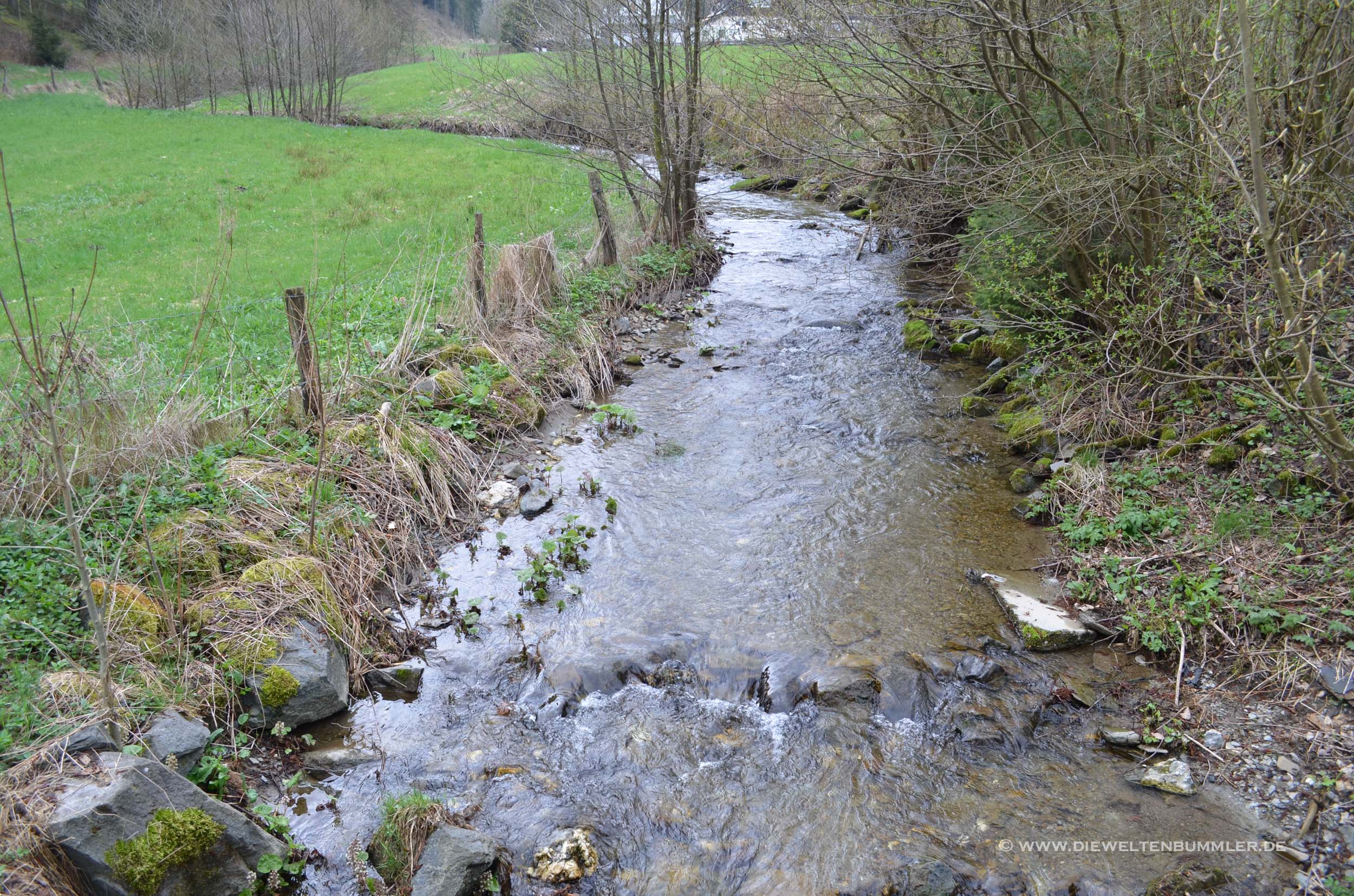 Kleiner Bachlauf