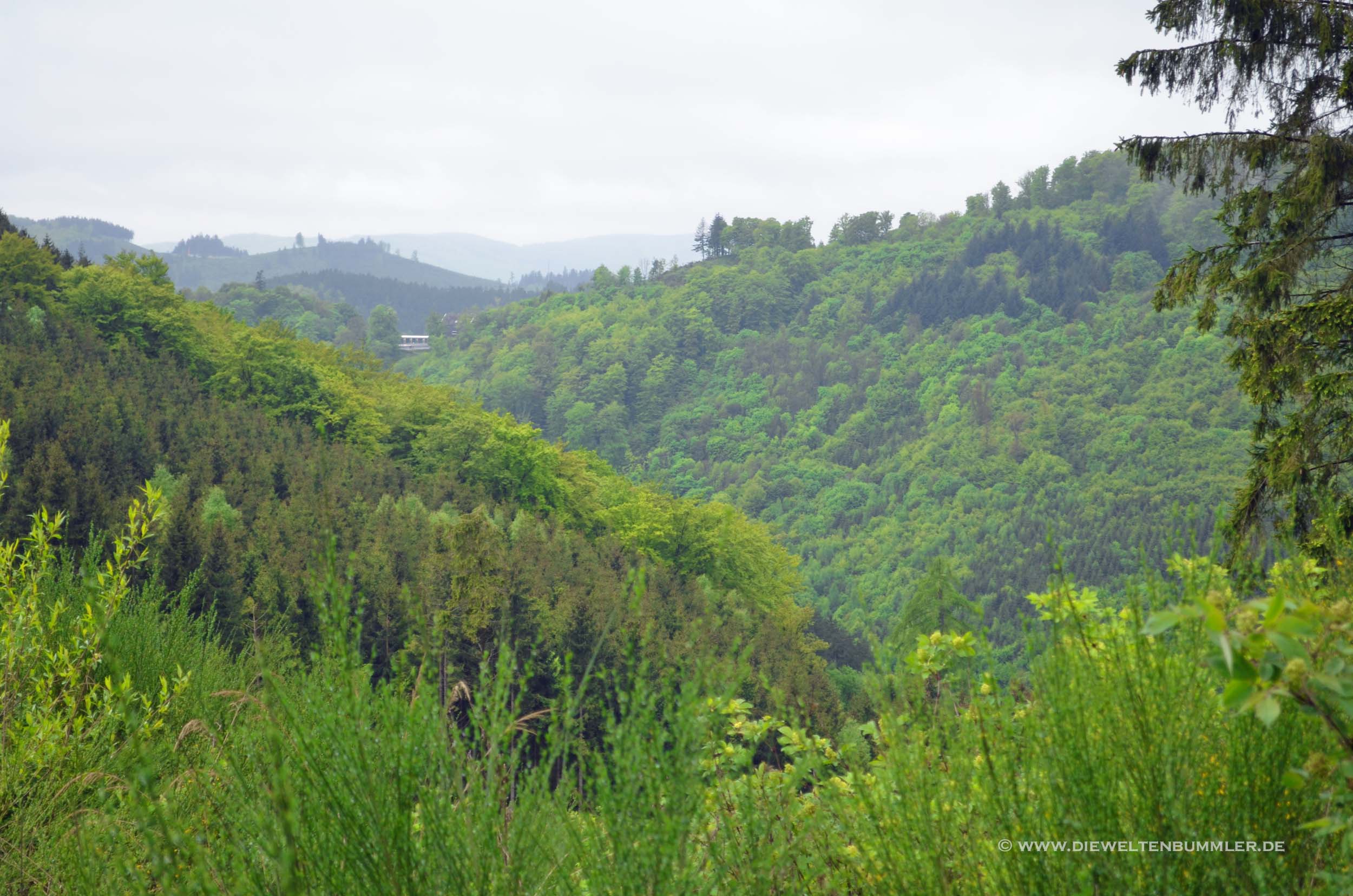 Sauerland